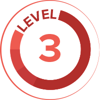 level-3